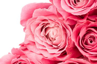 Similar image 530489