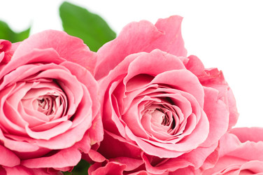 Similar image 530490