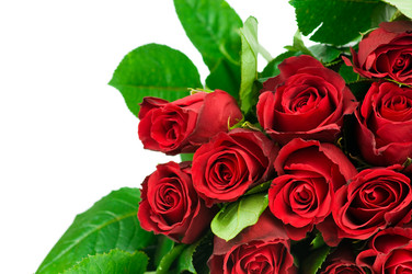 Similar image 530501