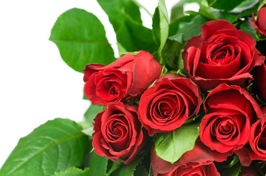 Similar image 530503