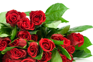 Similar image 530505