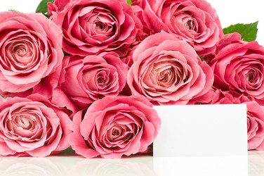 Similar image 530526