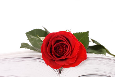 Similar image 530533