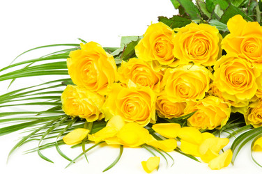 Similar image 530585