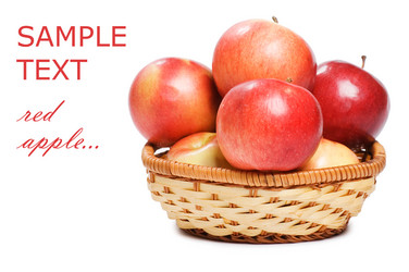 Similar image 530620