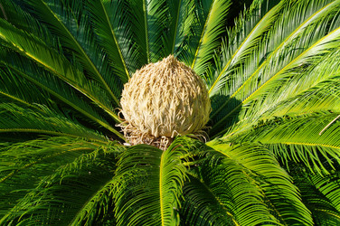 Similar image 530622