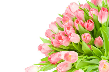 Similar image 530644