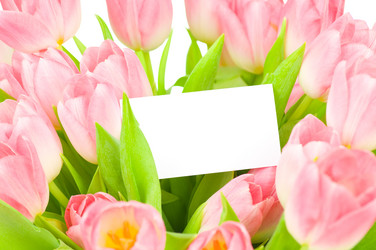 Similar image 530662