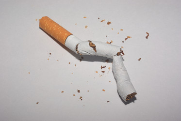 Similar image 530663