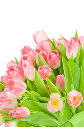 Similar image 530665