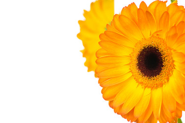 Similar image 530691