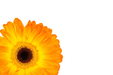 Similar image 530692