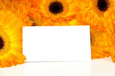 Similar image 530702