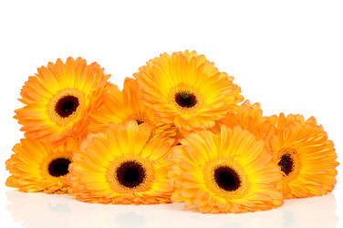 Similar image 530706