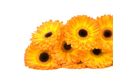 Similar image 530709