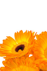 Similar image 530708