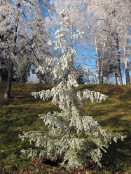 Similar image 530818