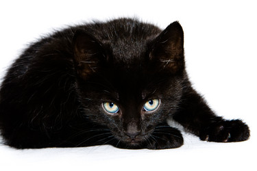 Similar image 530877