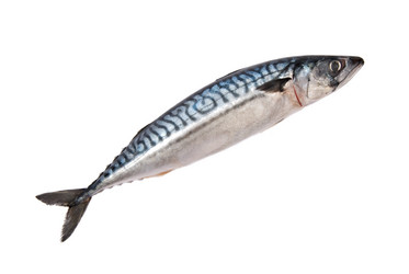 Similar image 530994