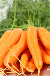 Similar image 531086