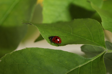 Similar image 531206