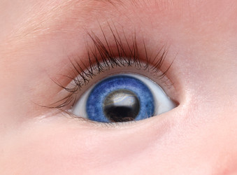 Similar image 531341