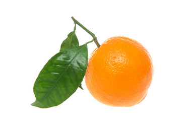 Similar image 531403