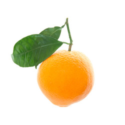 Similar image 531405