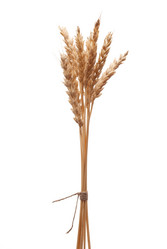 Similar image 531425