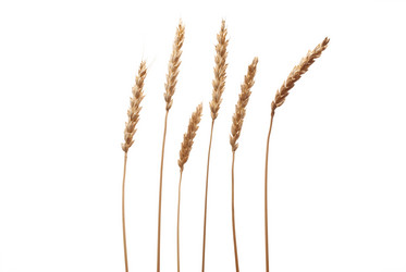 Similar image 531431