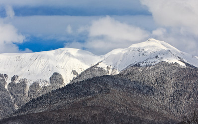 Similar image 531457