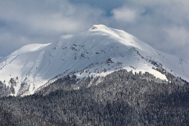 Similar image 531461