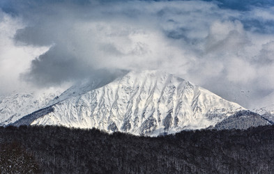 Similar image 531474