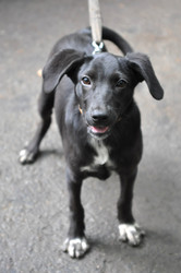 Similar image 531477