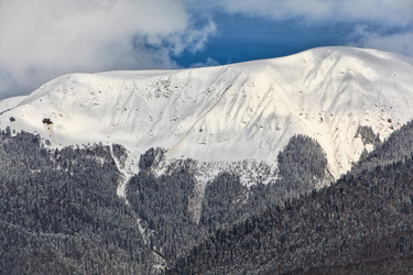 Similar image 531478