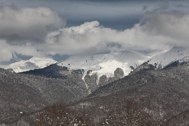 Similar image 531480