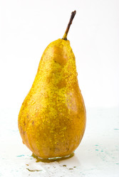 Similar image 531519