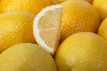 Similar image 531523