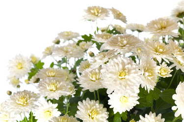 Similar image 531633