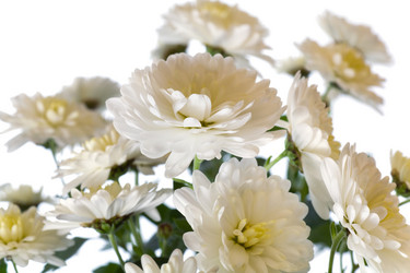 Similar image 531635