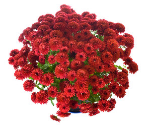 Similar image 531643