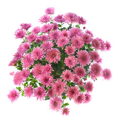 Similar image 531648