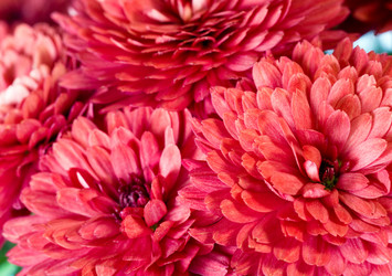 Similar image 531649