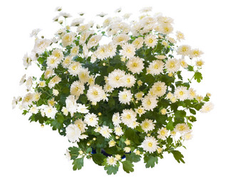 Similar image 531653