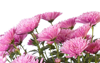 Similar image 531657