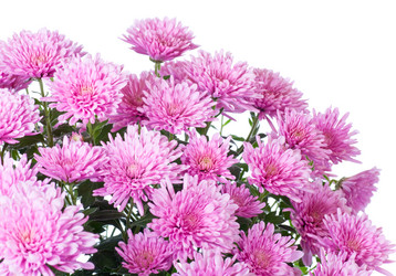 Similar image 531659