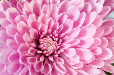 Similar image 531661