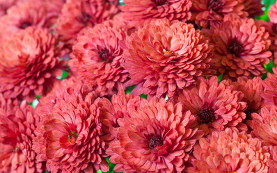 Similar image 531665