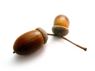 Similar image 531668