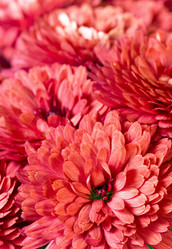 Similar image 531669